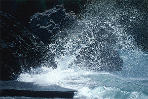 LEICA R6 APO TELYT 3,4/180